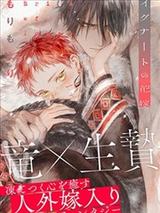 新片免费预告